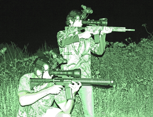 Night Vision Weaponry Used in Feral Pig Hunting